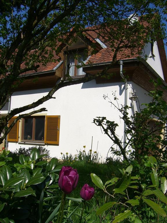 Ferienwohnung Lucia Huber Uhldingen-Mühlhofen Rom bilde